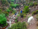 photo thumbnail #12