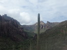 photo thumbnail #14