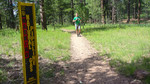 photo thumbnail #1