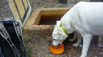 photo thumbnail #10