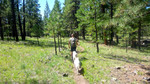 photo thumbnail #5