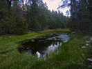 photo thumbnail #10