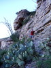 photo thumbnail #2