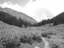 photo thumbnail #12