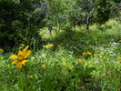 photo thumbnail #6