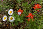 photo thumbnail #12