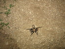 photo thumbnail #12