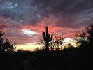 photo thumbnail #11