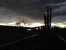 photo thumbnail #13