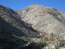 photo thumbnail #11