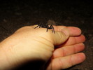 photo thumbnail #6