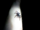 photo thumbnail #7