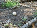 photo thumbnail #12