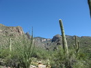 photo thumbnail #2