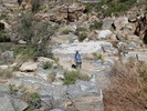 photo thumbnail #11