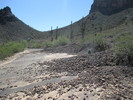 photo thumbnail #2