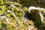 photo thumbnail #2