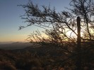photo thumbnail #10
