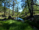 photo thumbnail #2