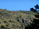 photo thumbnail #4