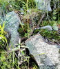 photo thumbnail #13