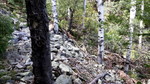 photo thumbnail #15