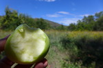 photo thumbnail #6