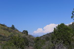 recent photo