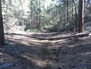 photo thumbnail #2