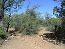 photo thumbnail #7