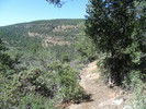 photo thumbnail #8