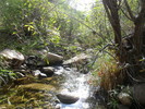 photo thumbnail #10