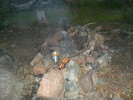 photo thumbnail #15