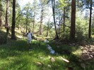 photo thumbnail #4