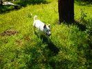 photo thumbnail #8