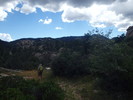 photo thumbnail #14