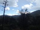 photo thumbnail #15