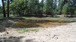 photo thumbnail #10