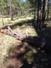 photo thumbnail #3