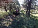photo thumbnail #2