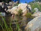 photo thumbnail #12