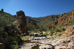 photo thumbnail #6
