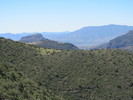 photo thumbnail #3