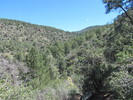 photo thumbnail #5