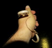 photo thumbnail #11