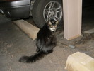 photo thumbnail #13