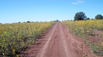 photo thumbnail #6