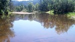photo thumbnail #11