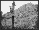 photo thumbnail #2