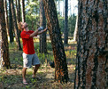 photo thumbnail #2